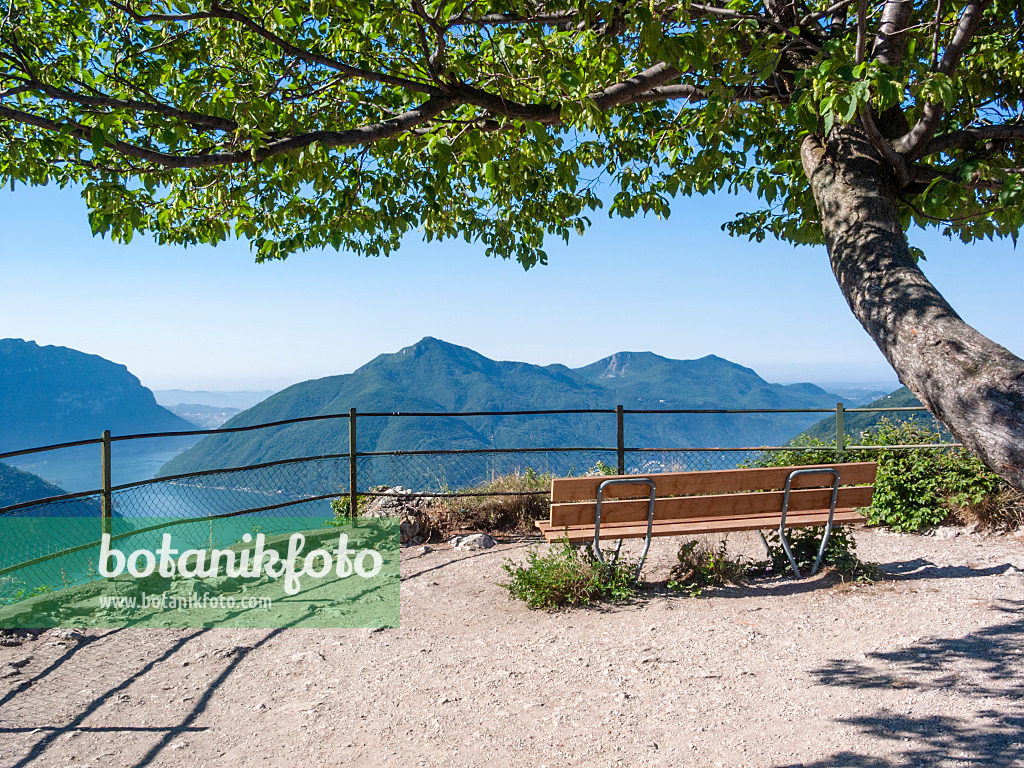 414093 - Monte San Salvatore, Schweiz
