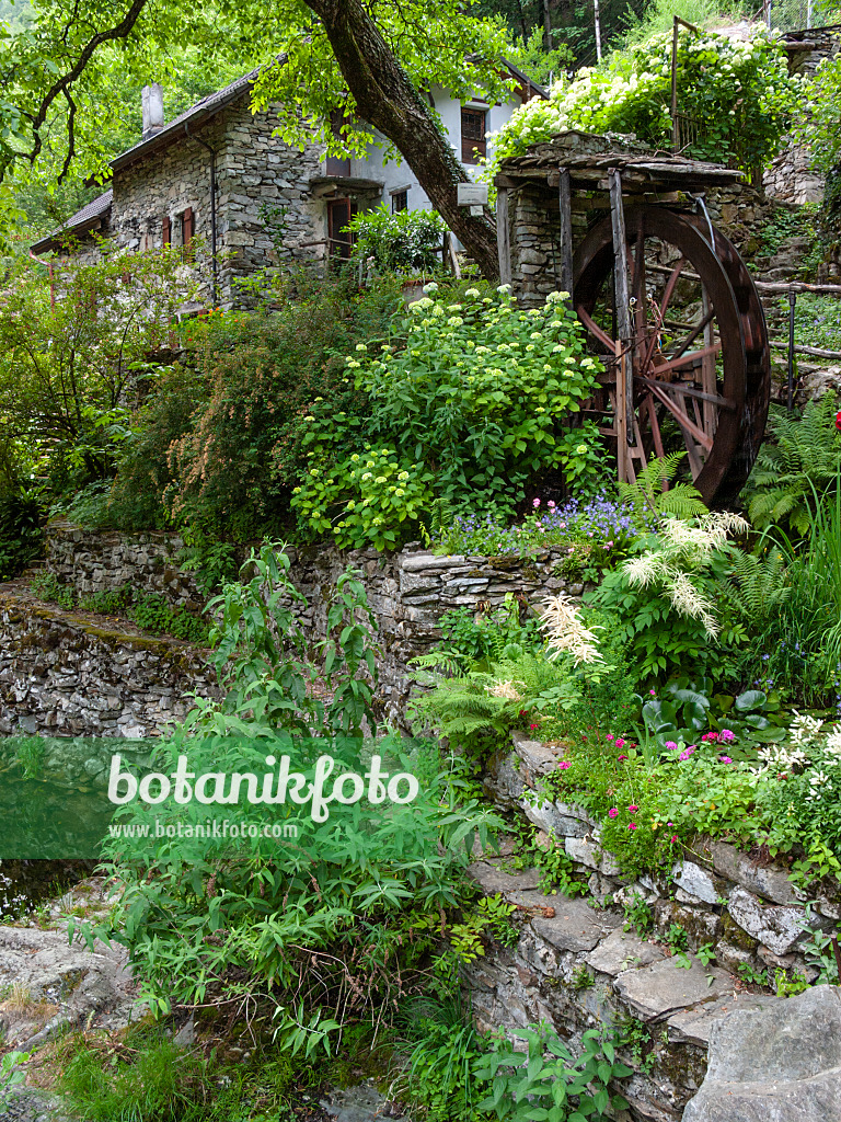 414155 - Moulin à eau, Intragna, Suisse