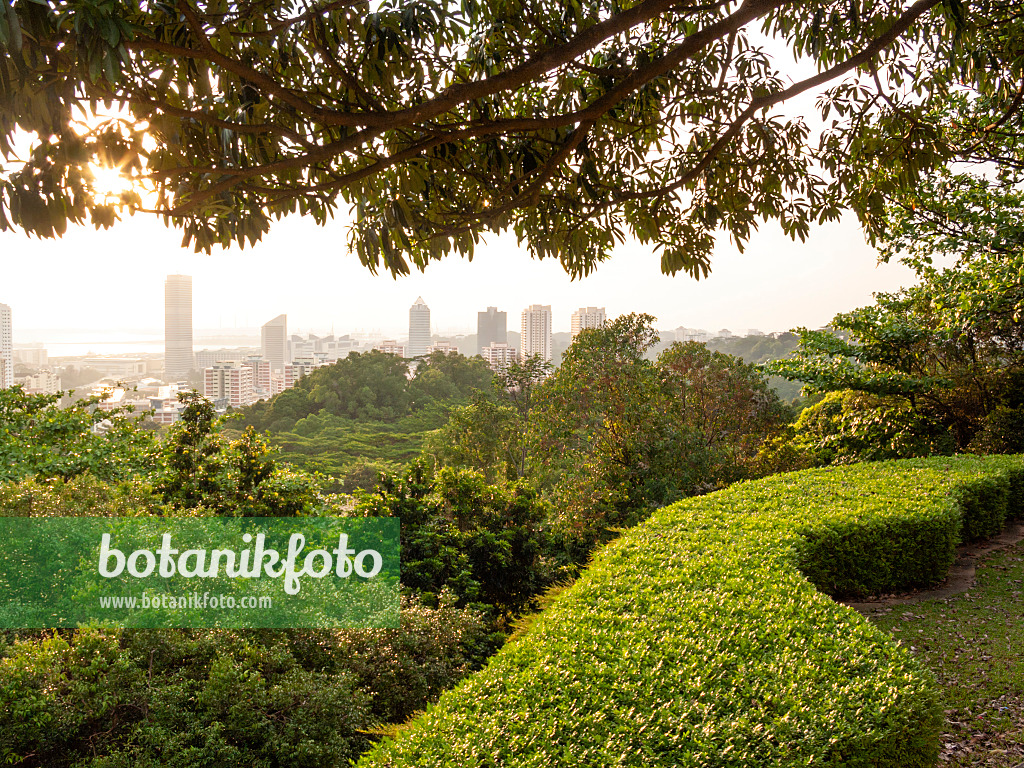 411084 - Mount Faber Park, Singapore