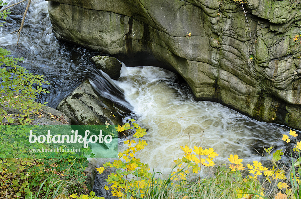 501220 - Mountain brook with granite rocks, Bode Valley Nature Reserve, Germany