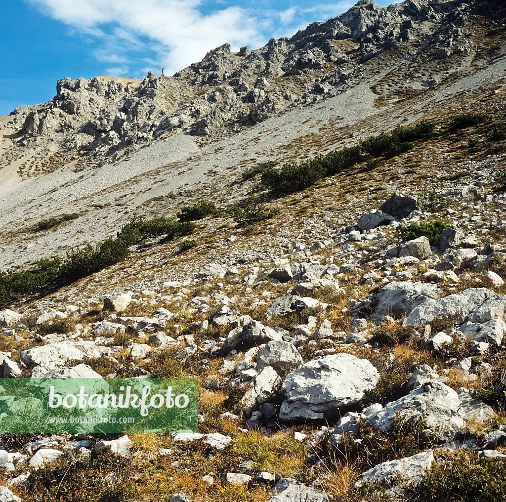 249030 - Murtaröl, parc national suisse, Suisse