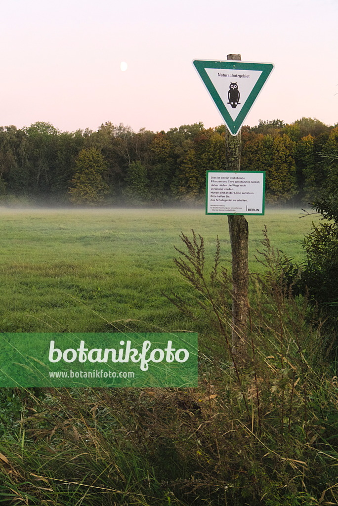 670024 - Nature reserve in Spandau Forest, Berlin, Germany