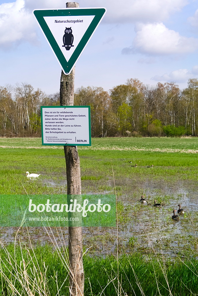 670027 - Nature reserve in Spandau Forest, Berlin, Germany