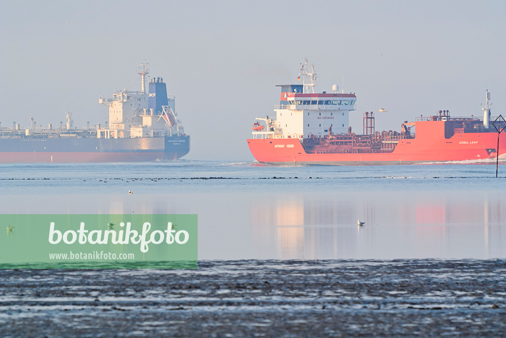 525104 - Navires porte-conteneurs à l'embouchure de l'Elbe près de Cuxhaven, Allemagne