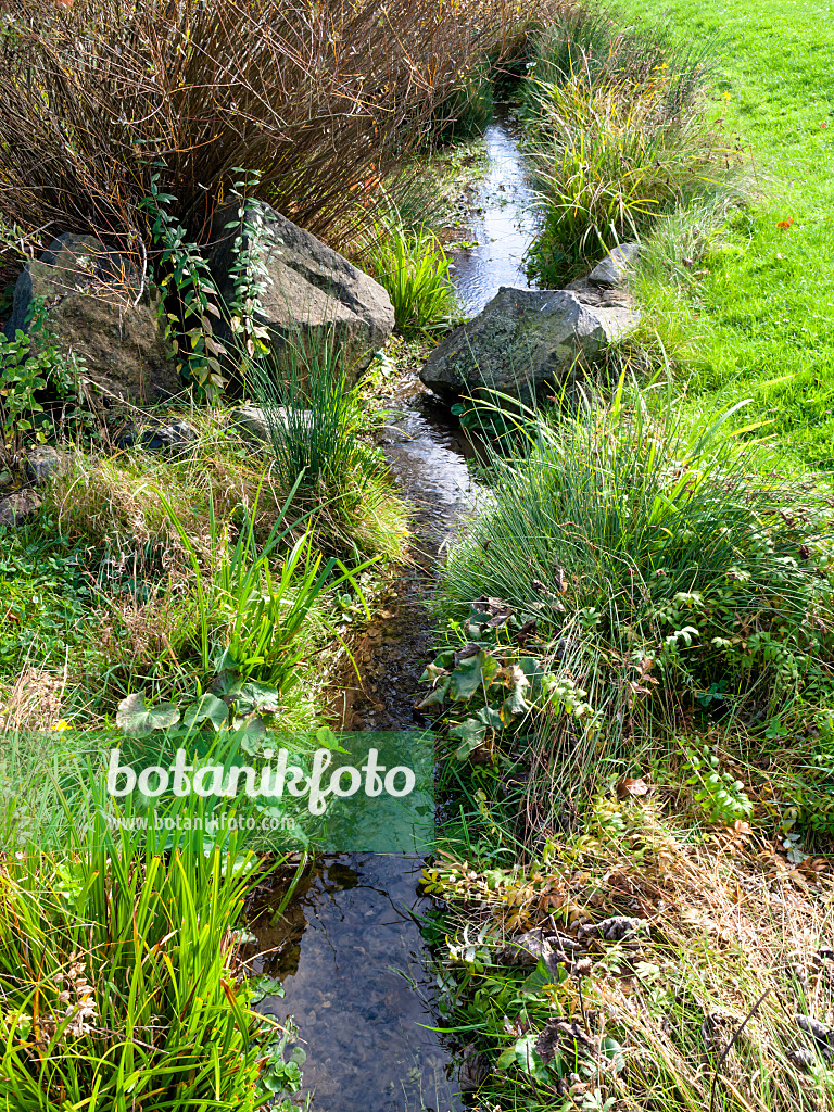 465169 - Near-natural brook in a garden
