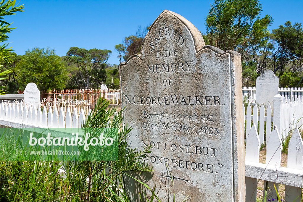 455240 - Old tombstone, Point Nepean National Park, Australia