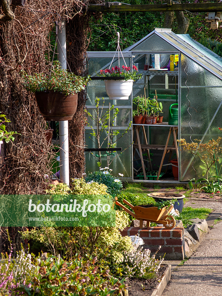 459072 - Open greenhouse with pots and watering cans on a wooden table in an allotment garden