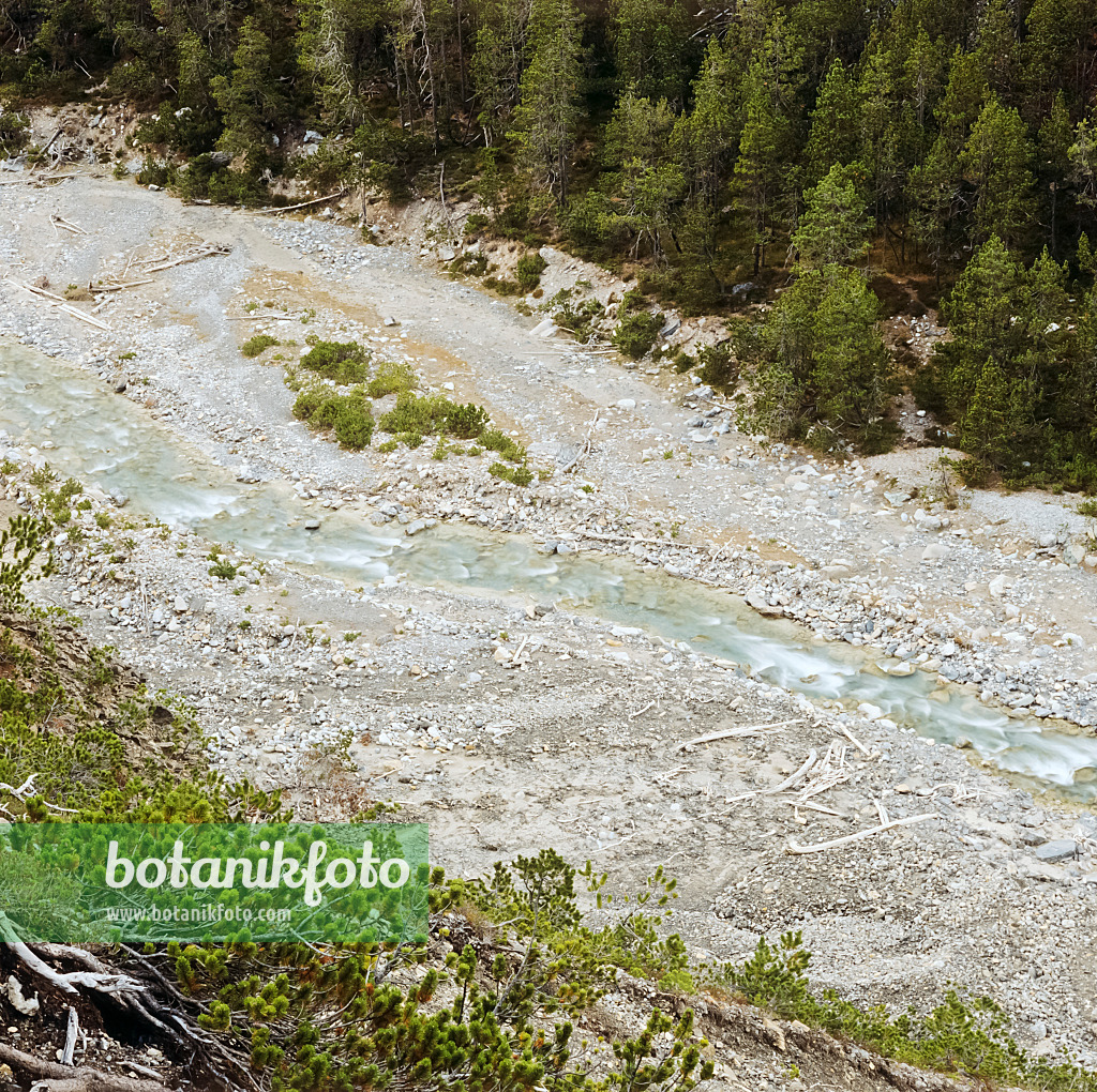 250005 - Ova dal Fuorn, Swiss National Park, Switzerland