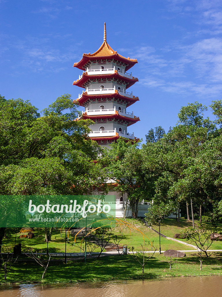 411033 - Pagode, jardin chinois, Singapour