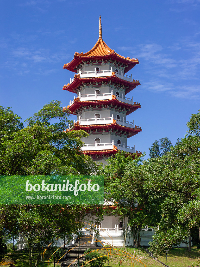411034 - Pagode, jardin chinois, Singapour