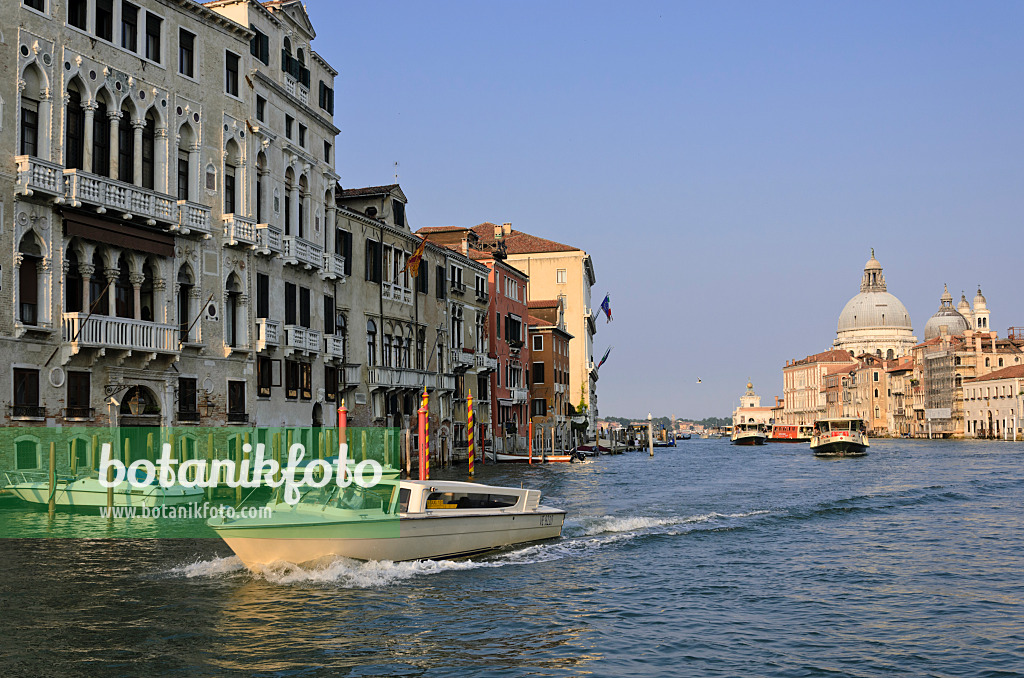 568089 - Palazzi und Santa Maria della Salute am Canal Grande, Venedig, Italien