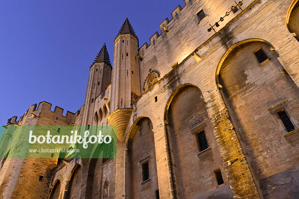 557205 - Papstpalast, Avignon, Provence, Frankreich