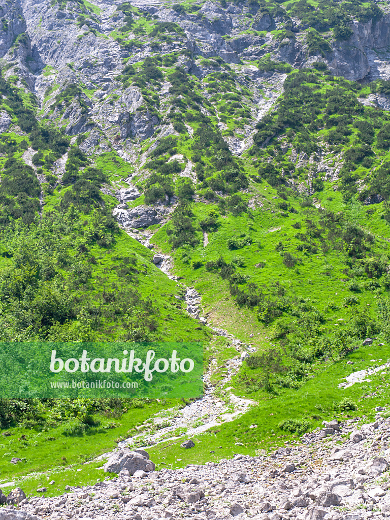 439146 - Parc national de Berchtesgaden, Allemagne