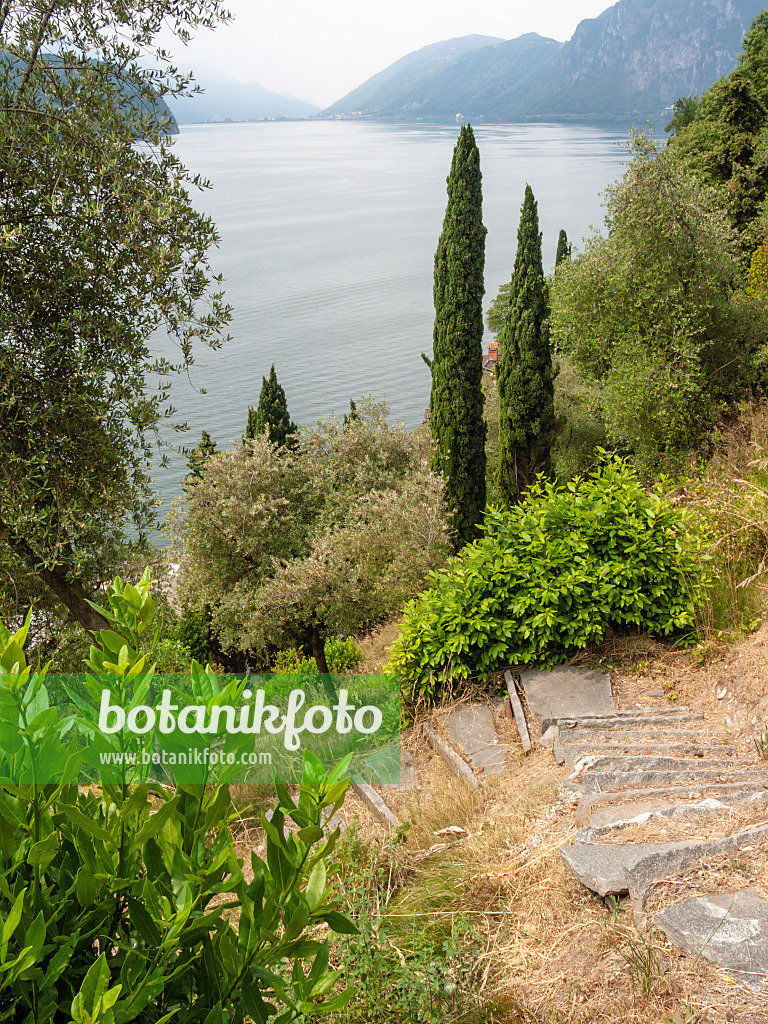 414124 - Parco degli Olivi at Lago di Lugano, Lugano, Switzerland