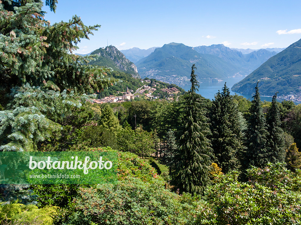414097 - Parco San Grato, Carona, Schweiz