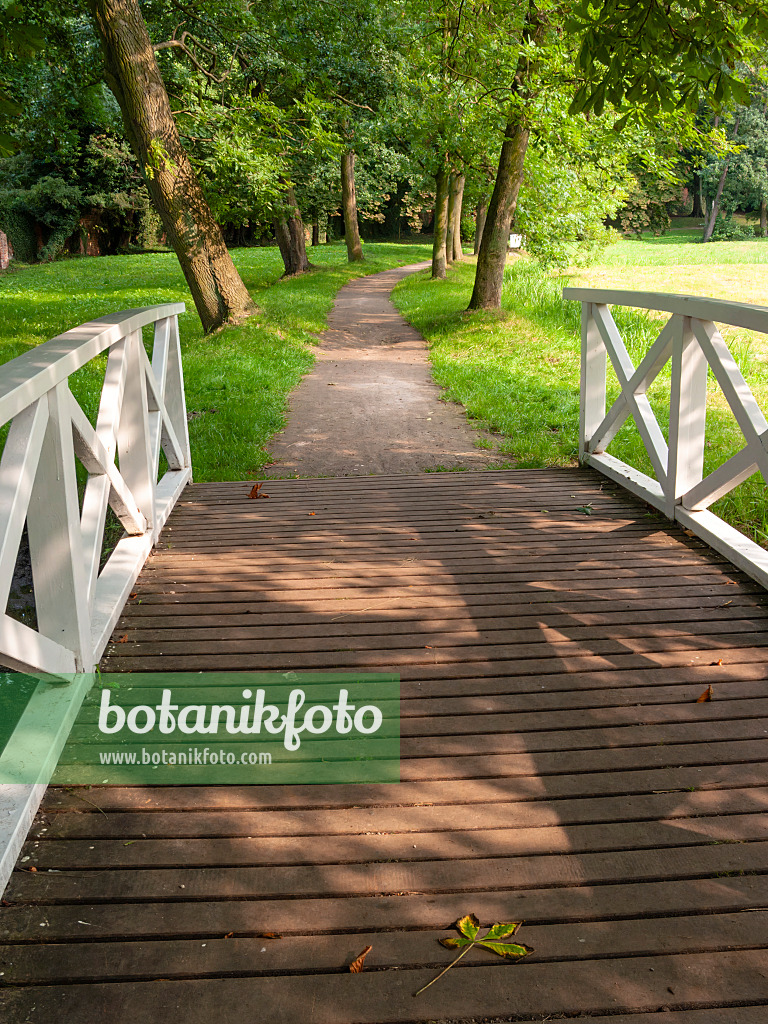 415071 - Parkweg über einer Holzbrücke mit einem weißen Holzgeländer und hohen Alleebäumen