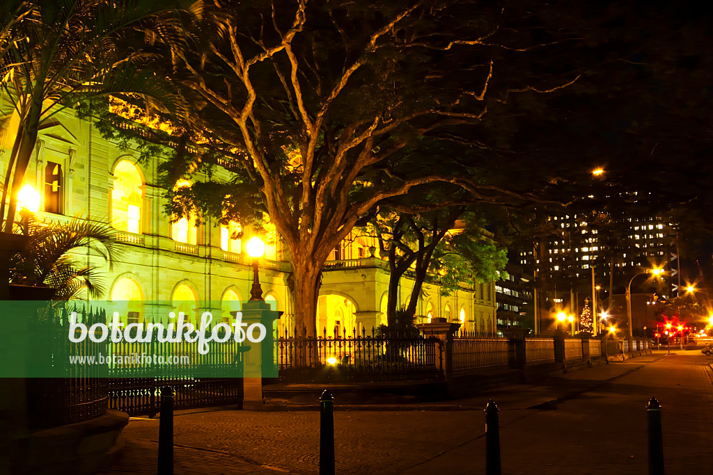455080 - Parlement, Brisbane, Australie
