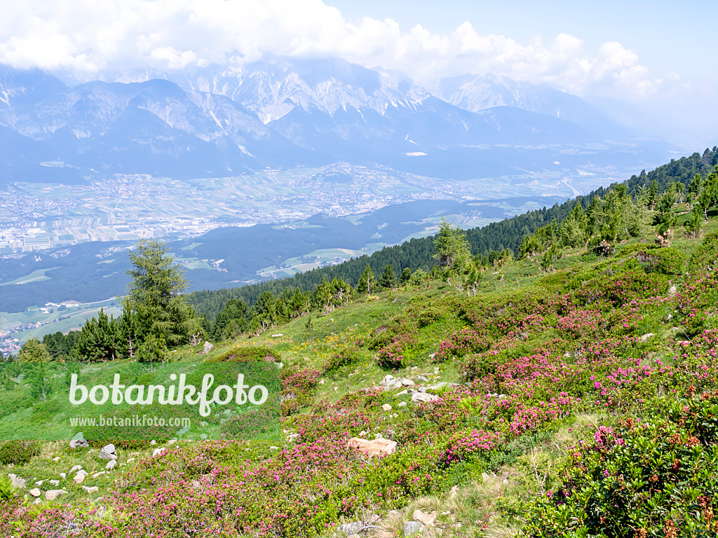 439324 - Patscherkofel, Innsbruck, Autriche