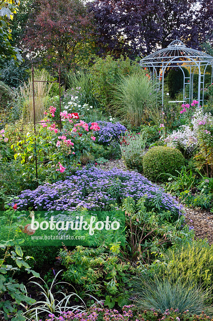 477027 - Pavillon dans un jardin de vivaces d'automne