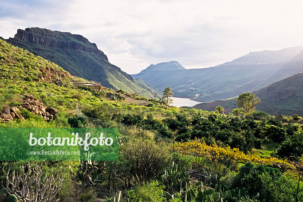 397036 - Paysage de montagne près d'Ayagaures, réserve naturelle de Pilancones, Gran Canaria, Espagne
