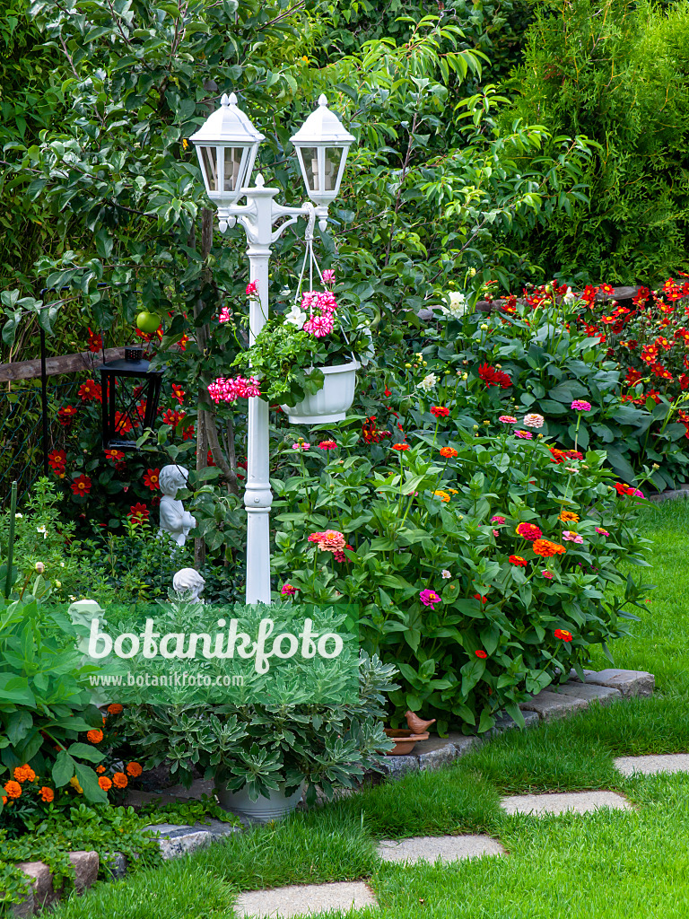 427248 - Perennial border with lantern