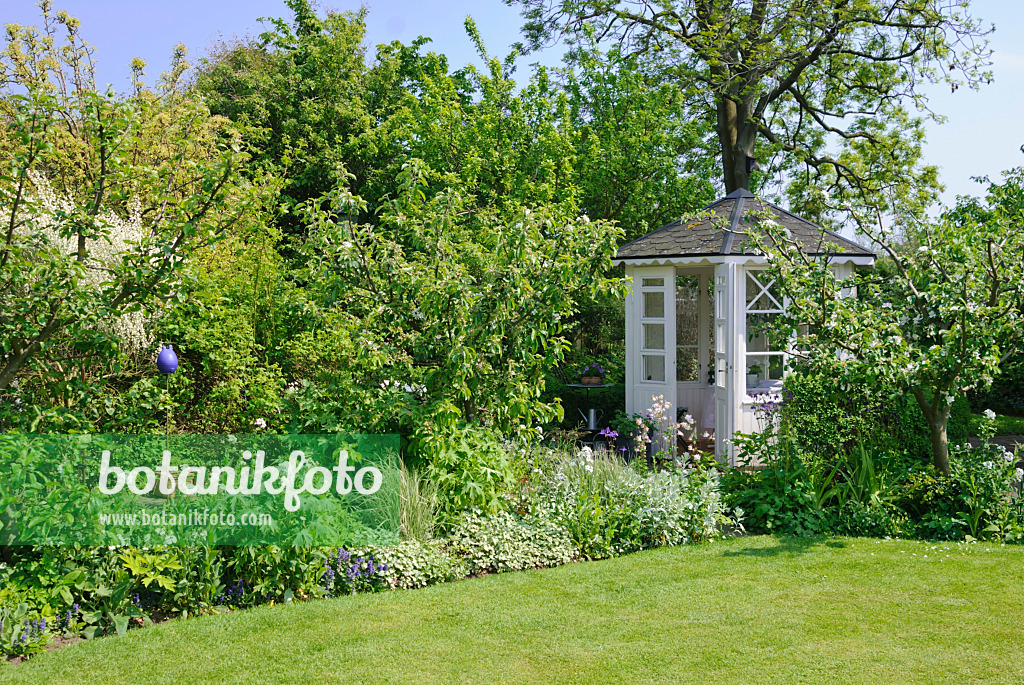 509155 - Perennial border with small garden pavilion