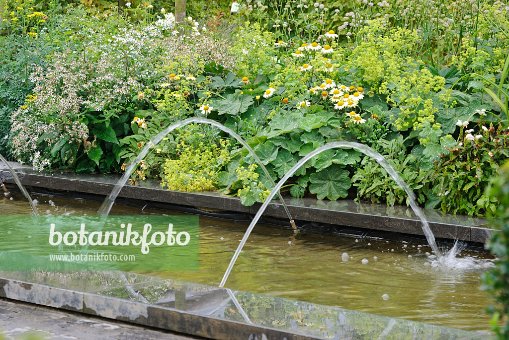 475302 - Perennial border with water basin