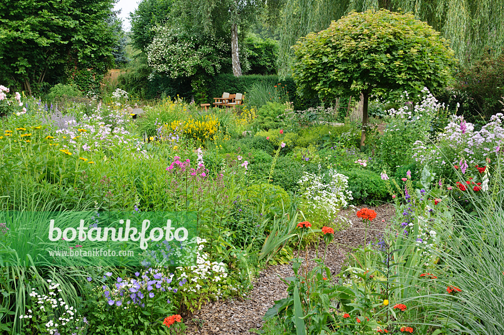 486034 - Perennial garden