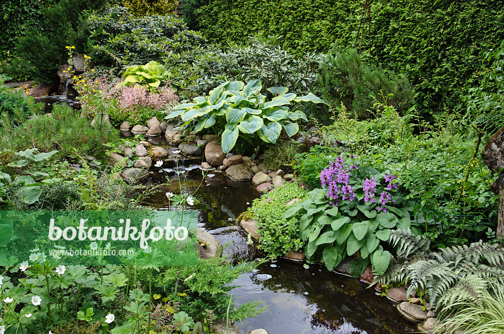 473075 - Perennial garden with brook