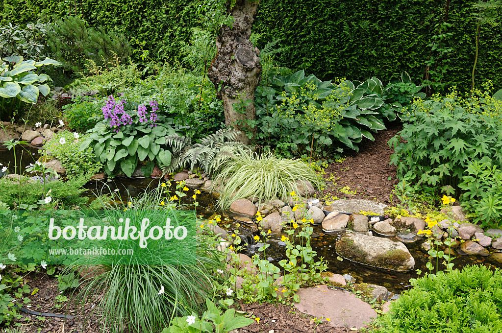 473077 - Perennial garden with brook