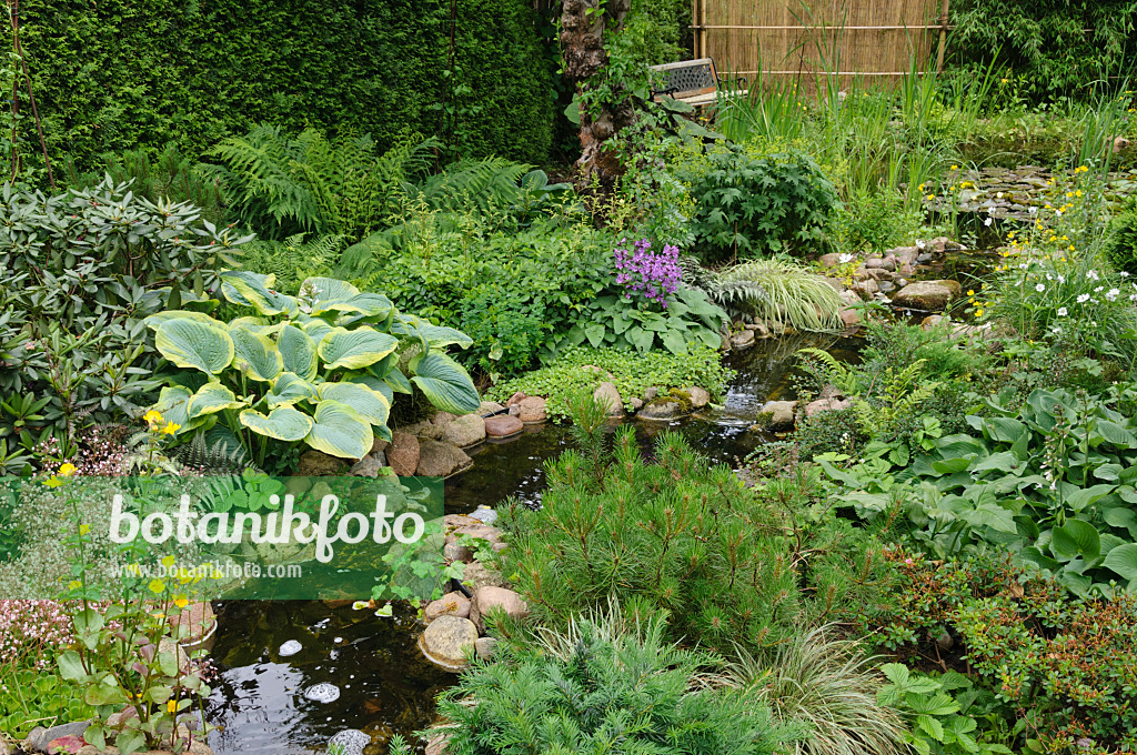 473088 - Perennial garden with brook