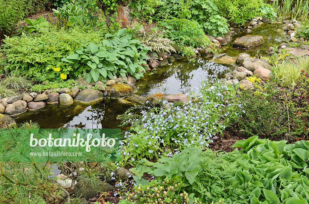 520151 - Perennial garden with brook