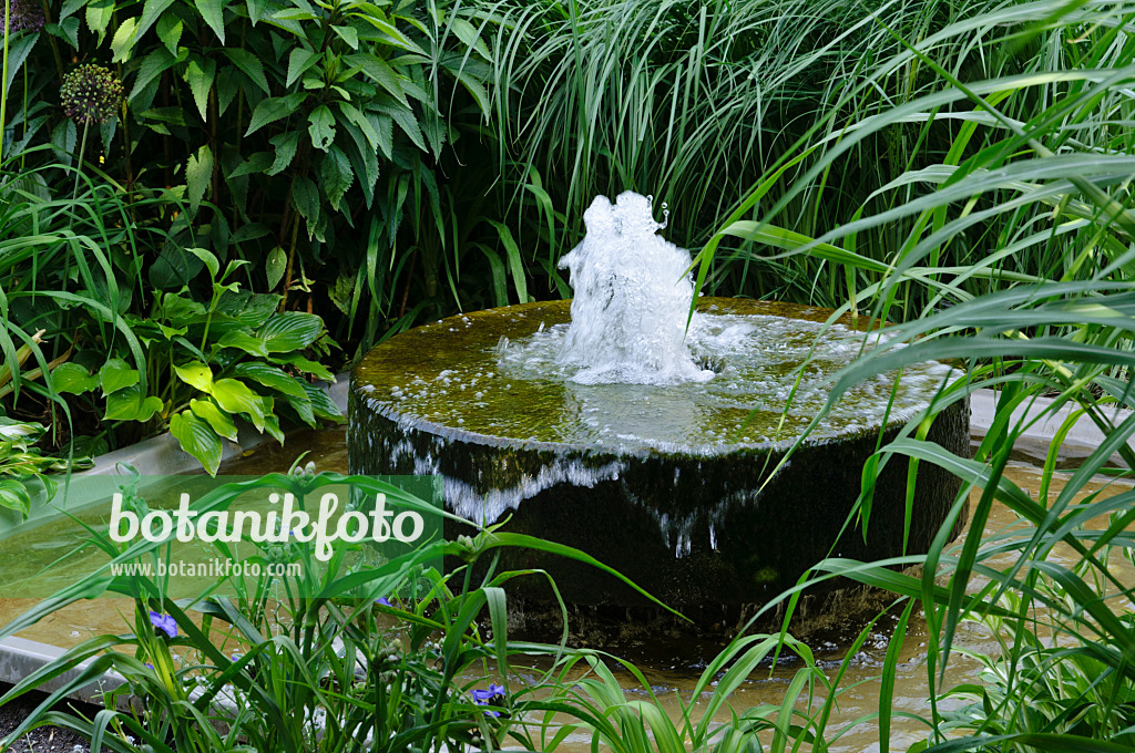 472379 - Perennial garden with fountain