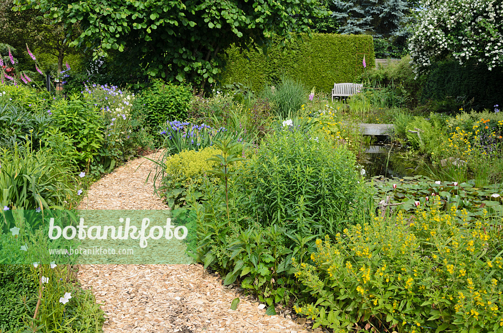 534048 - Perennial garden with garden pond
