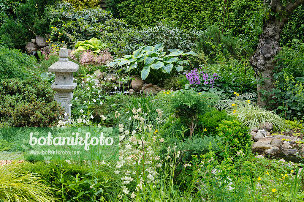 473083 - Perennial garden with stone lantern and a narrow stream with field stones