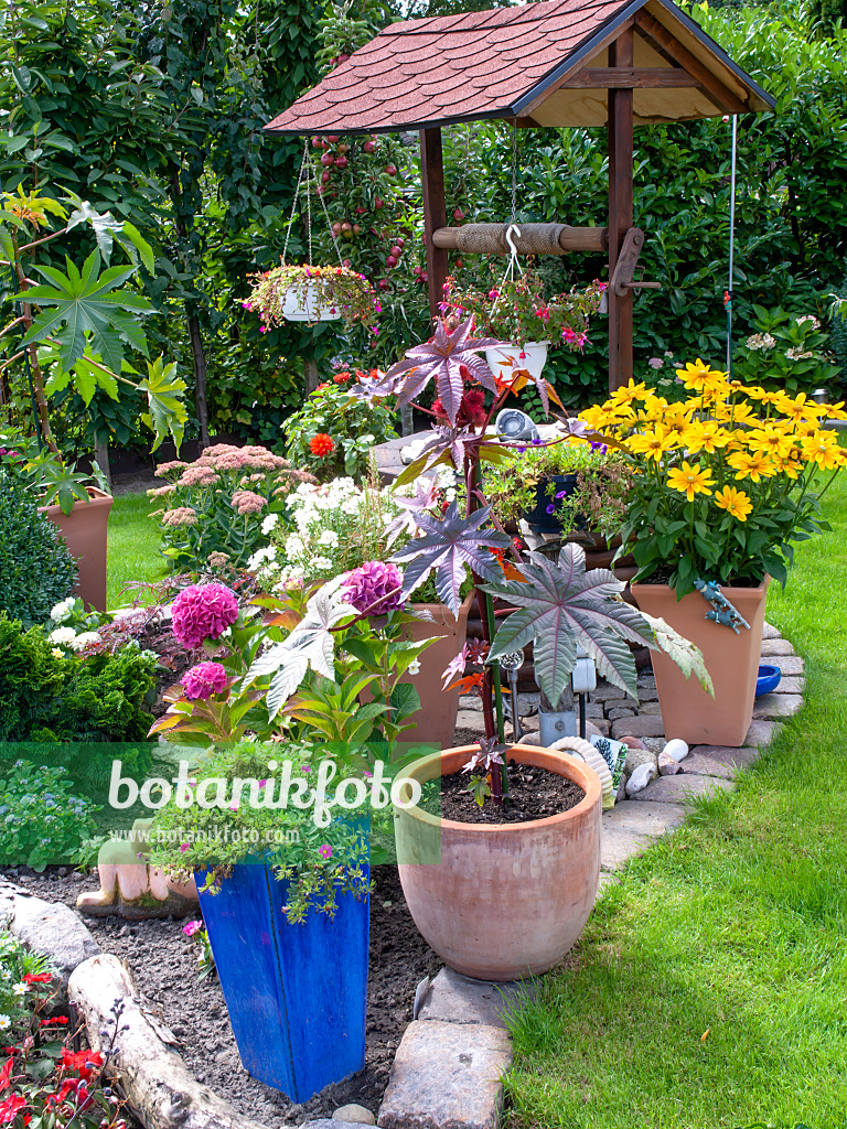 490008 - Plantes en bacs dans un jardin