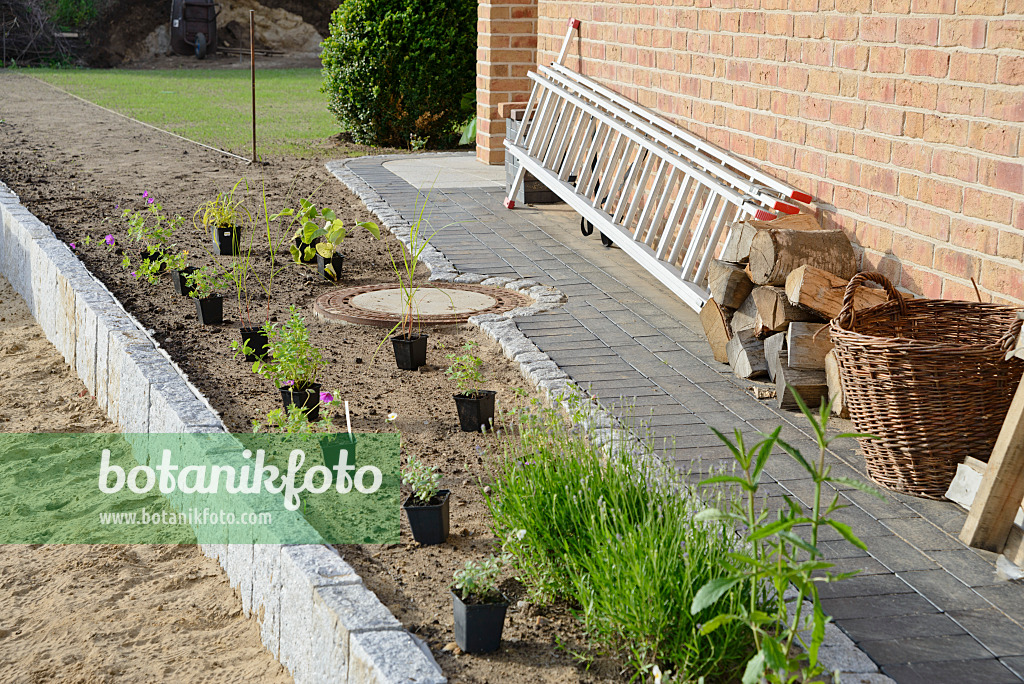 531238 - Planting a perennial bed