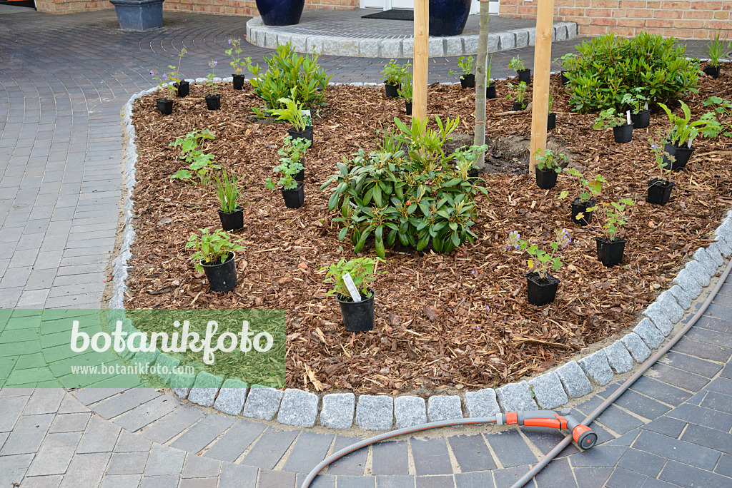 531239 - Planting a perennial bed