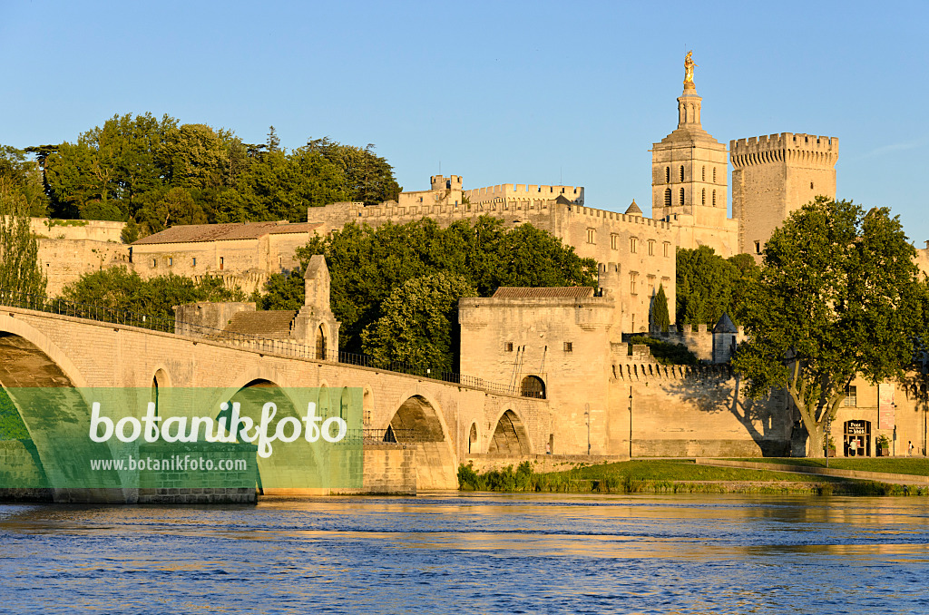557220 - Pont Saint-Bénézet und Papstpalast, Avignon, Provence, Frankreich