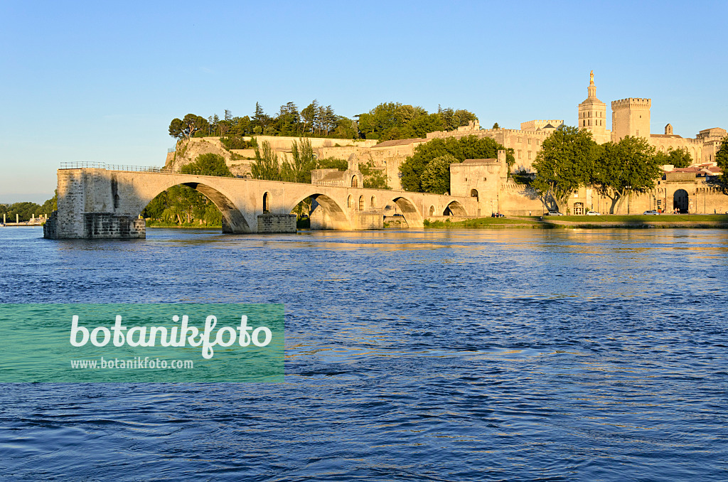 557221 - Pont Saint-Bénézet und Papstpalast, Avignon, Provence, Frankreich