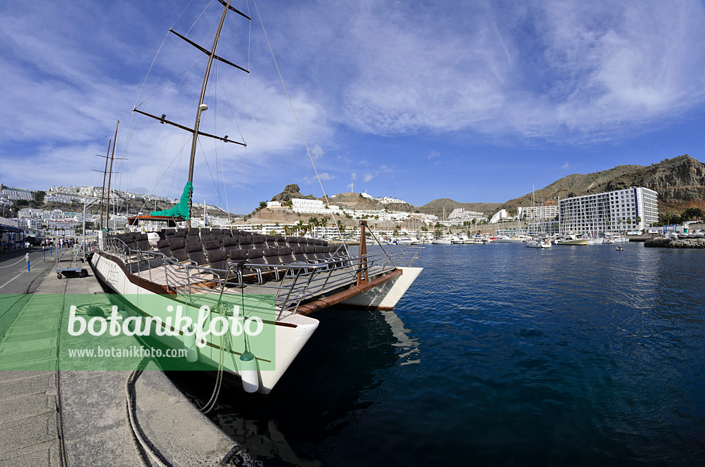 564097 - Port, Puerto Rico, Gran Canaria, Espagne