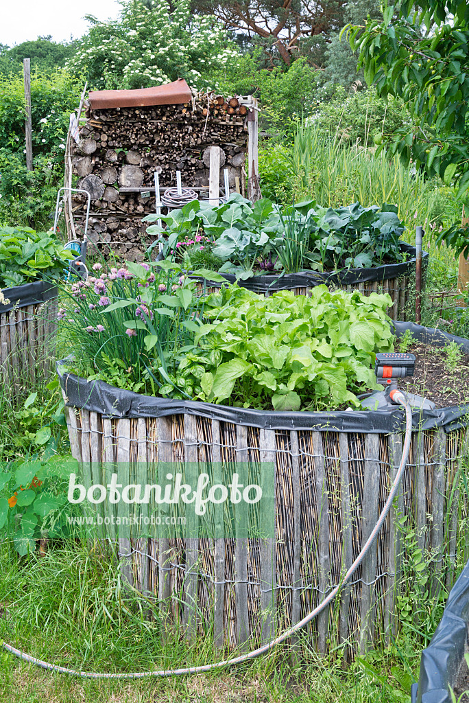 557051 - Potager surélevé auto-construit dans un jardin naturel