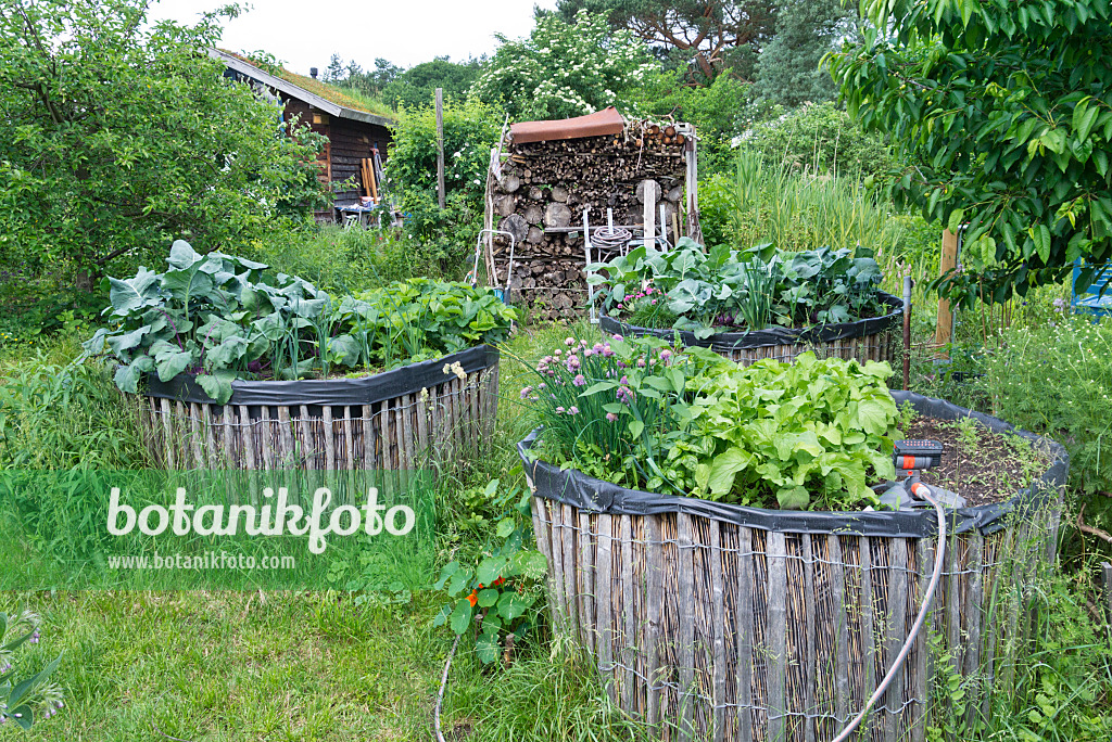 557052 - Potager surélevé auto-construit dans un jardin naturel