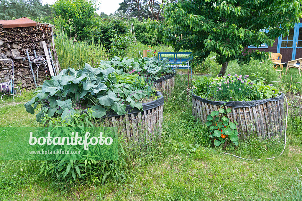 557054 - Potager surélevé auto-construit dans un jardin naturel