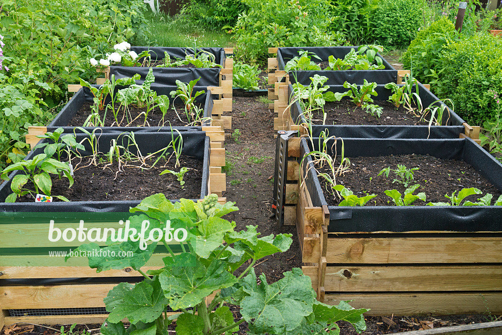 532033 - Potager surélevé avec des légumes