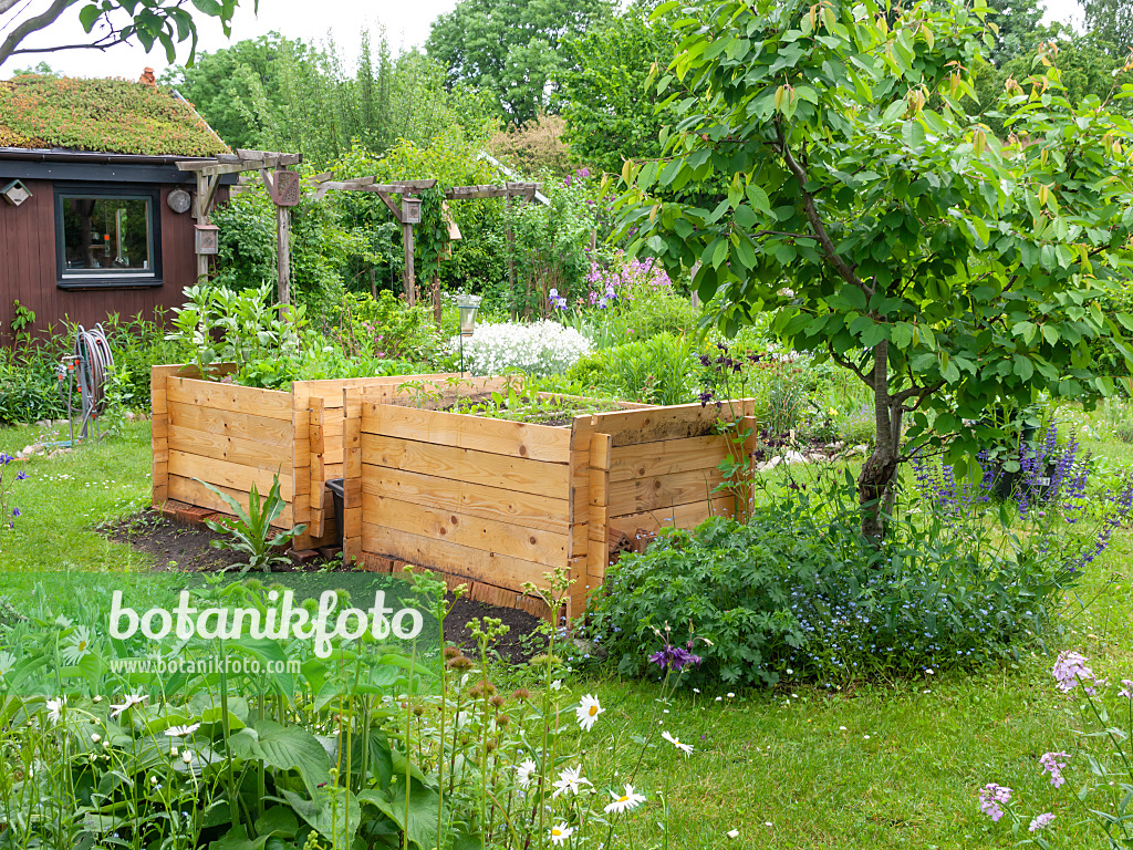 523249 - Potager surélevé dans un jardin écologique