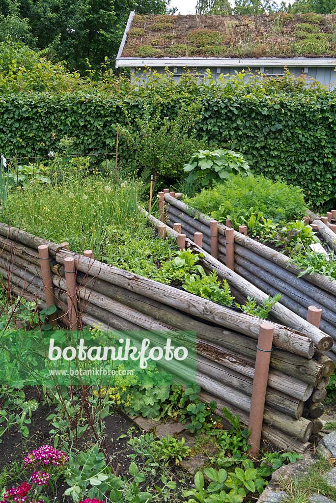 534246 - Potager surélevé dans un jardin écologique