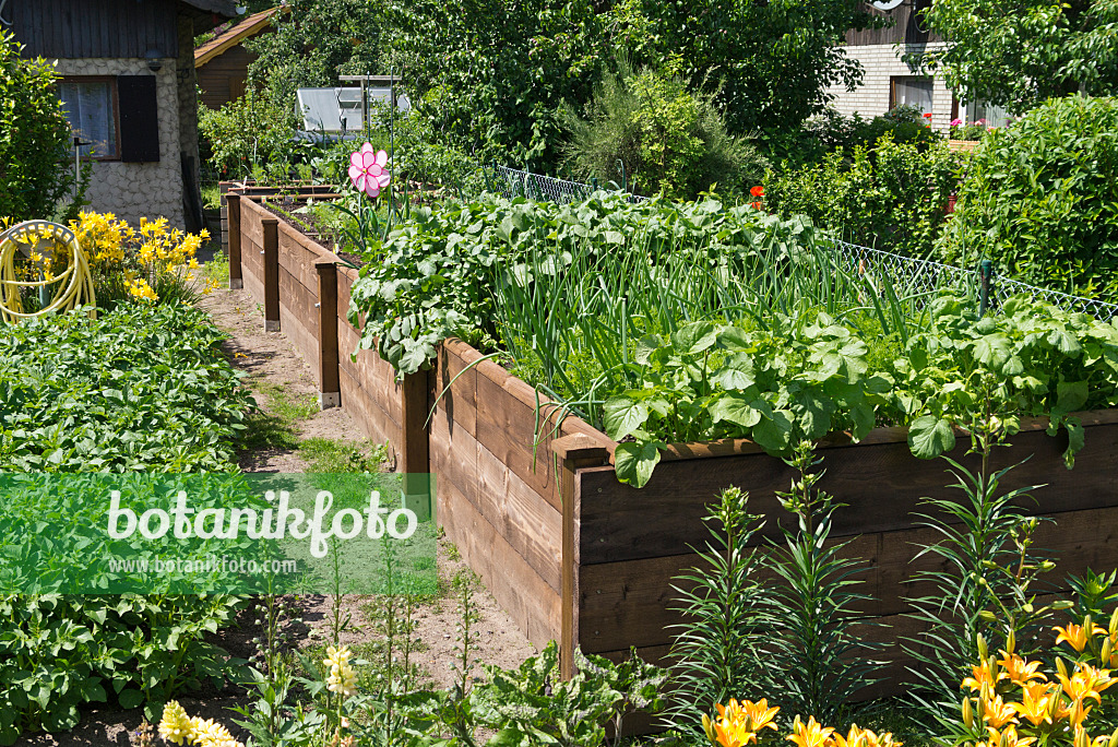 534232 - Potager surélevé dans un jardin familial