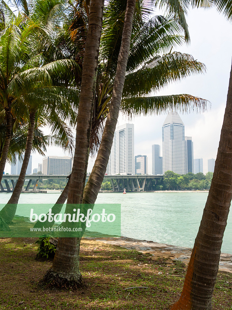 411053 - Promenade, Marina City Park, Singapour