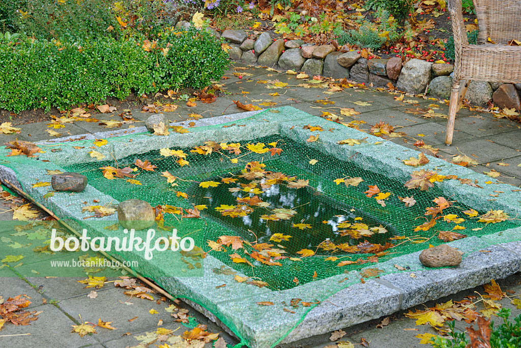 517007 - Protecting garden pond with a net against autumn leaves (3)